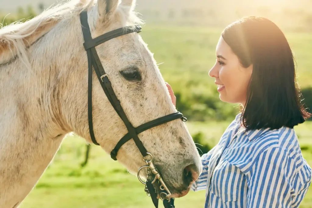 What is the Best Time to Bet on Horse Racing? What is the Best Time to Bet on Horse Racing?