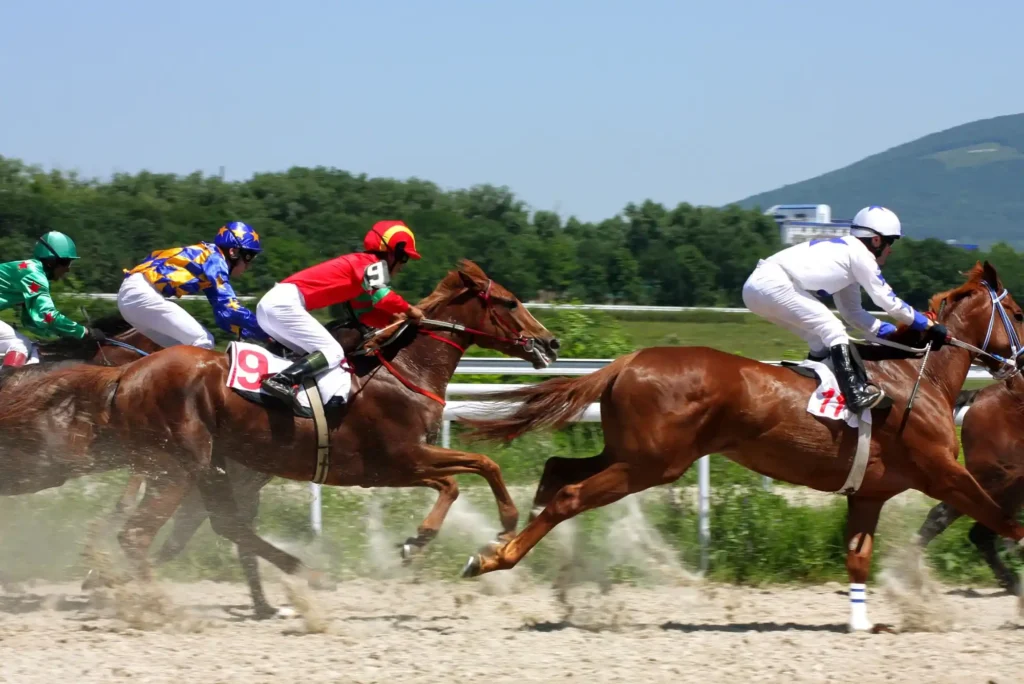Ultimate Guide to Betting on Horse Racing Successfully